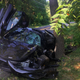 Illustration for article titled Someone Bought a $300,000 McLaren 720S and Wrecked It the Next Day